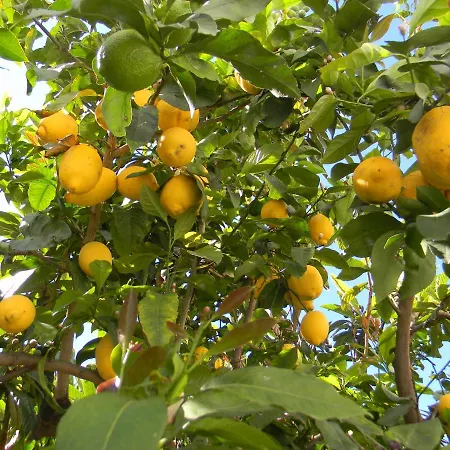 Apartment Appartement Tavira Tavira